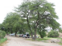 Oak Flat Campground Oak Flat Campground