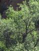 devils_canyon36