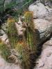 devils_canyon37