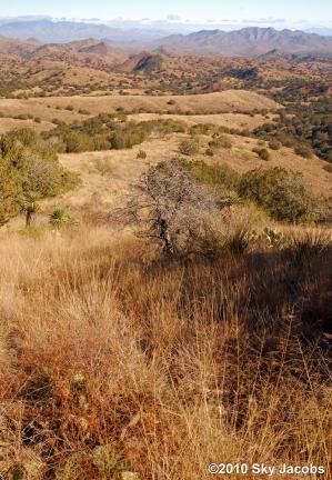 Rosemont Valley in 2010