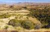 Site of Rosemont copper mine