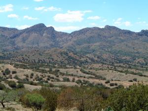 Rosemont Valley Rosemont Valley